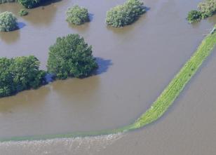 Nach 17 Jahren wird an der Elbe bei Dessau-Roßlau eines der größten Natursc... weiterlesen