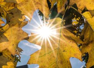 Nach zuletzt hochsommerlichen Temperaturen soll am Wochenende der Herbst in... weiterlesen
