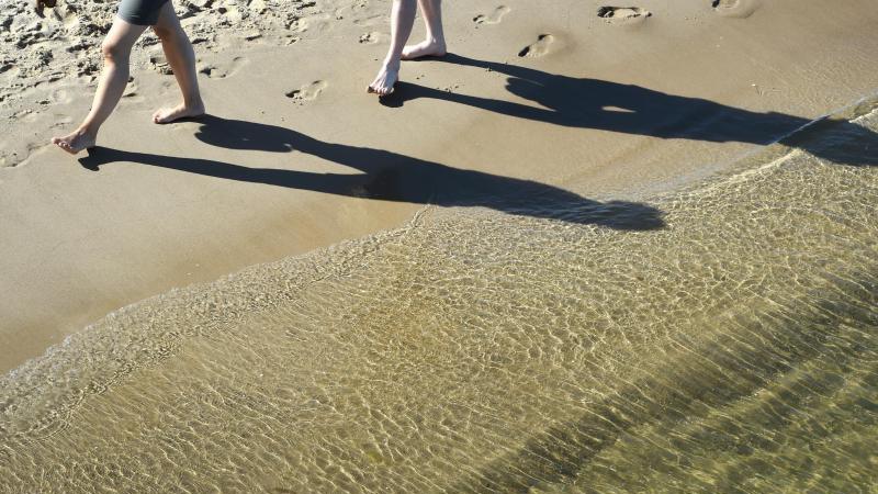 Juli sorgt für deutliches Plus in touristischer Bilanz Sonniges Wetter auf der Insel Usedom