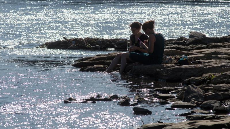 Regen füllt Elbe ein wenig: Fähren fahren wieder Elbe
