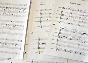 Angesichts des Mangels an Musiklehrern in vielen Schulen hat der Bundesverb... weiterlesen