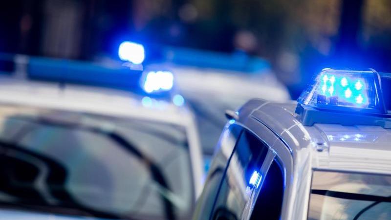 Wohnungen von Sprayer-Gruppe durchsucht Polizeifahrzeuge