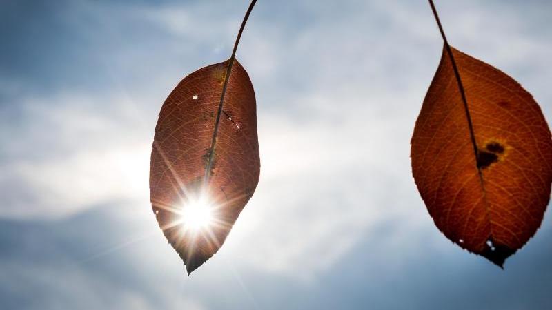 Sonne treibt Temperaturen über 25-Grad-Marke Sonnenschein