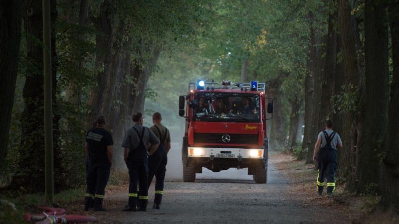 Rund 2000 Quadratmeter Wald in Werdau abgebrannt Waldbrand