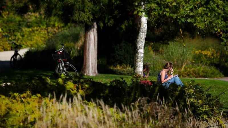 Sommer im Oktober: Südwesten erwartet sonniges Wochenende Herbstausflug