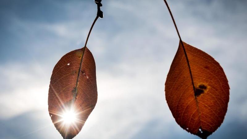 Sommer lässt nicht locker: Rekordtemperaturen erwartet Sonniger Herbst