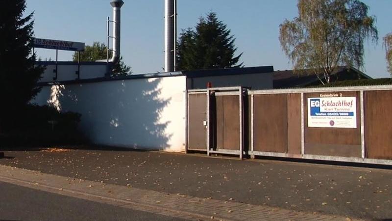 Vorwurf Tierquälerei: Schlachthof im Fokus der Ermittler Schlachthof