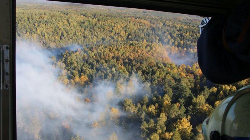 Waldbrand im Elbsandsteingebirge noch nicht unter Kontrolle Waldbrand im Elbsandsteingebirge