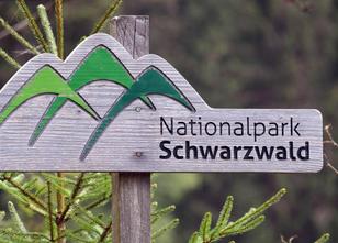 Der Plan für den Nationalpark Schwarzwald ist komplett: Mit dem Verkehrskon... weiterlesen