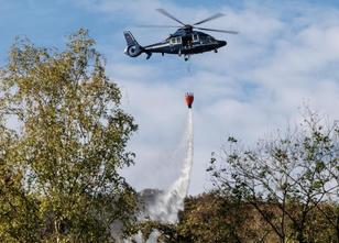Ein Feuer an einem steilen, schwer zugänglichen Waldstück am Kemnader See h... weiterlesen