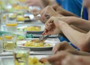Das Essen der Kinder in rheinland-pfälzischen Kitas und Schulen soll gesünd... weiterlesen