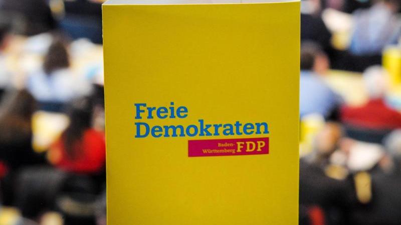 Südwest-FDP stellt Landesliste für Europawahl 2019 auf FDP