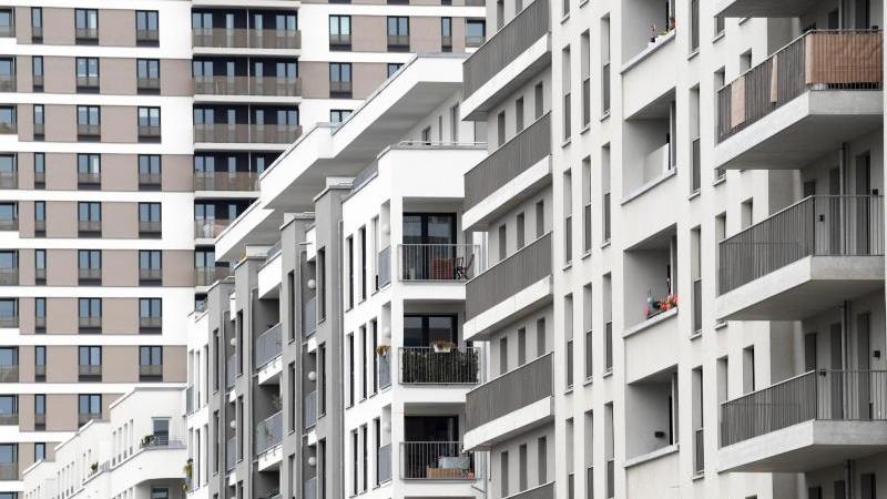 5000 fordern soziale Wohnungspolitik Neubaugebiet in Frankfurt am Main
