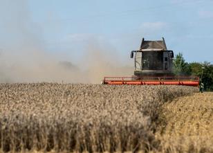Viele Landwirte in Bayern haben heuer wegen der enormen Trockenheit weniger... weiterlesen