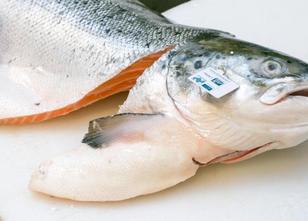 Wer regelmäßig Fisch kauft, entscheidet sich laut Empfehlungen von Experten... weiterlesen