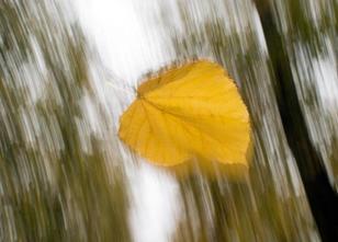 Der Deutsche Wetterdienst warnt vor Orkanböen in Sachsen und Sachsen-Anhalt... weiterlesen