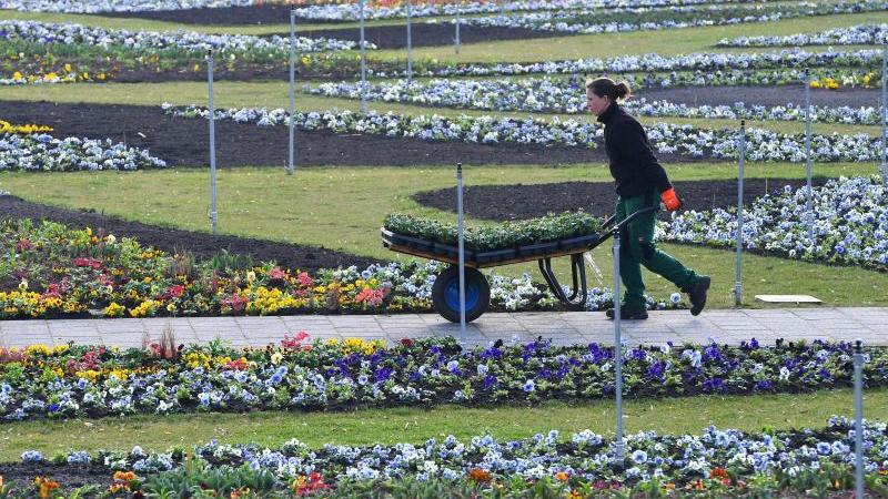 Bund spendiert Geld für egapark und Sternwarte egapark