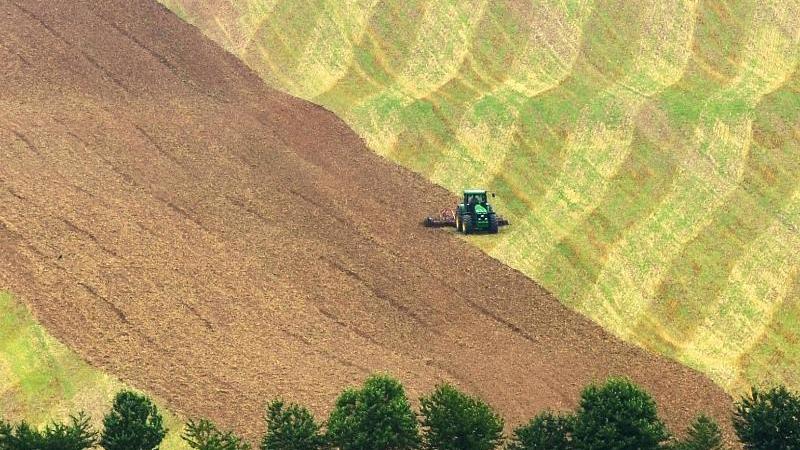 183 Agrarbetriebe stellen Antrag auf Dürrehilfe Feld