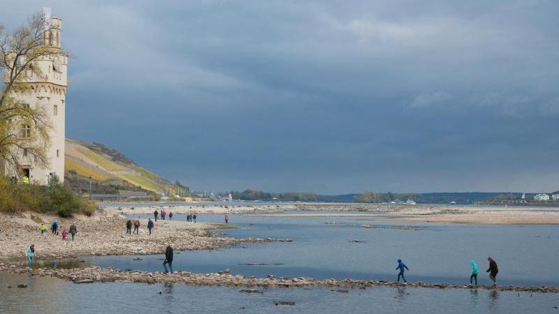 Keine Entspannung bei Niedrigwasser an großen Flüssen Niedrigwasser im Rhein