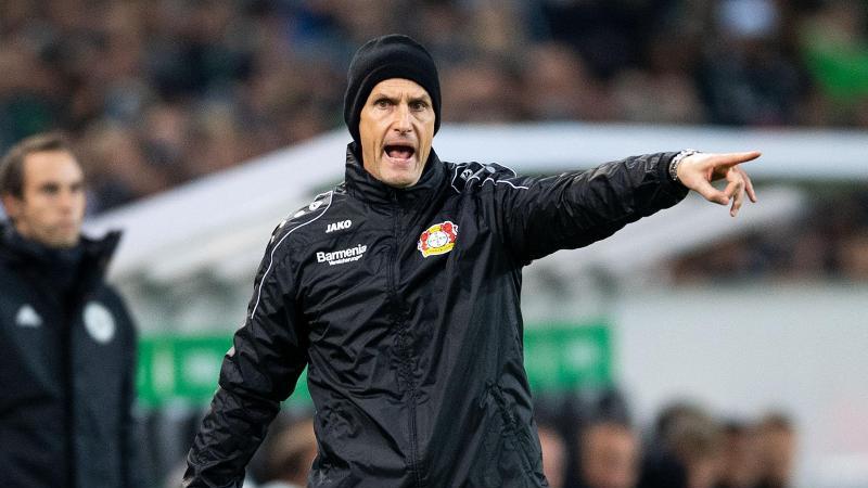 Europa League: Leverkusen mit sechs Neuen gegen Zürich Heiko Herrlich