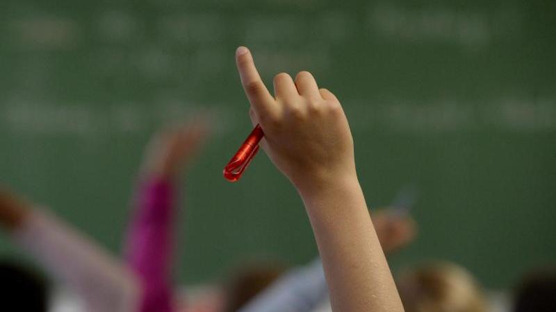 Mehr Lehrstellen frei: Zootierpfleger-Ausbildung begehrt Schule