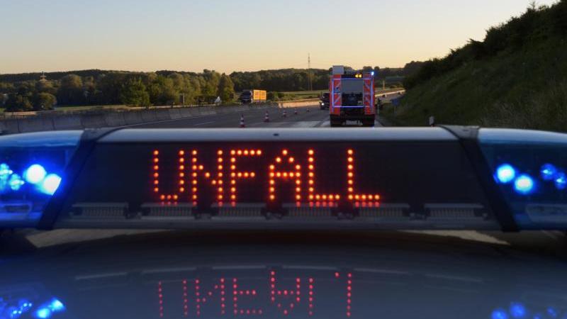 Fuchs läuft mit Ente vor Auto Blaulicht