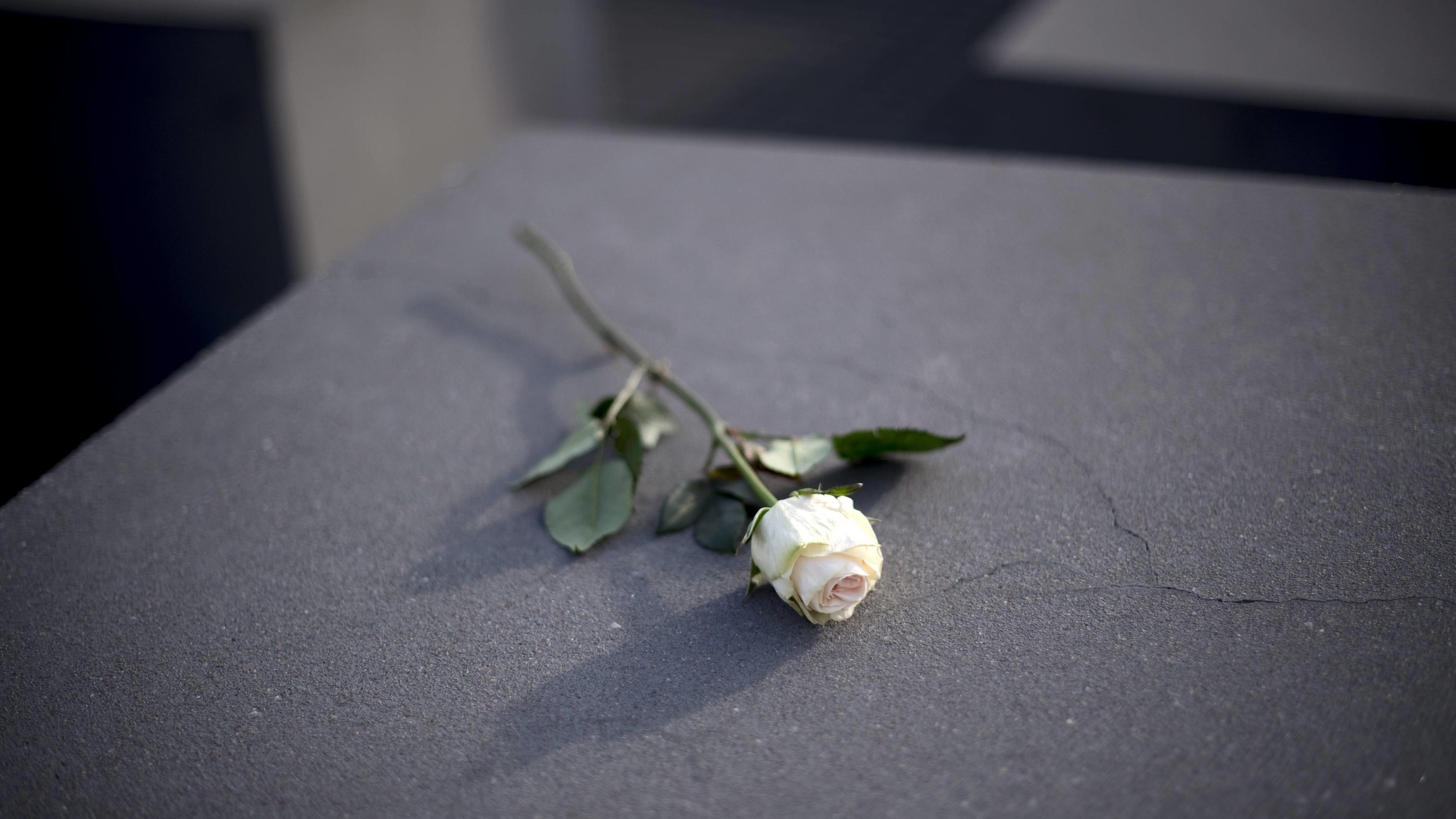 Berliner Verwaltungsgericht erlaubt rechte Demo am Jahrestag der Pogromnacht Gedenken Reichspogromnacht - Germany Commemorates 1938 November Pogroms Deu, Deutschland, Germany, Berlin, 08.11.2018 Weisse Rose auf einer Stele bei der Gedenkfeier und Demonstrantiom unter dem Motto Erinnern Gedenken Mitgehen 80 Jahre Pogromnacht a