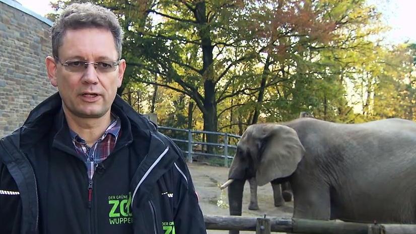 Tierquälerei im Zoo Wuppertal? "Peta" prangert an - das sagt der Deutsche Tierschutzbund Der Zoo bestreitet die Vorwürfe.