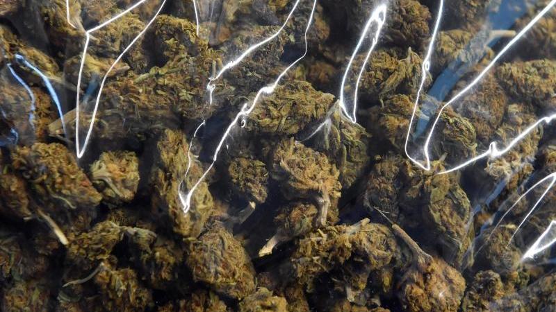 24 Kilo Marihuana bei Grenzkontrolle sichergestellt Marihuana