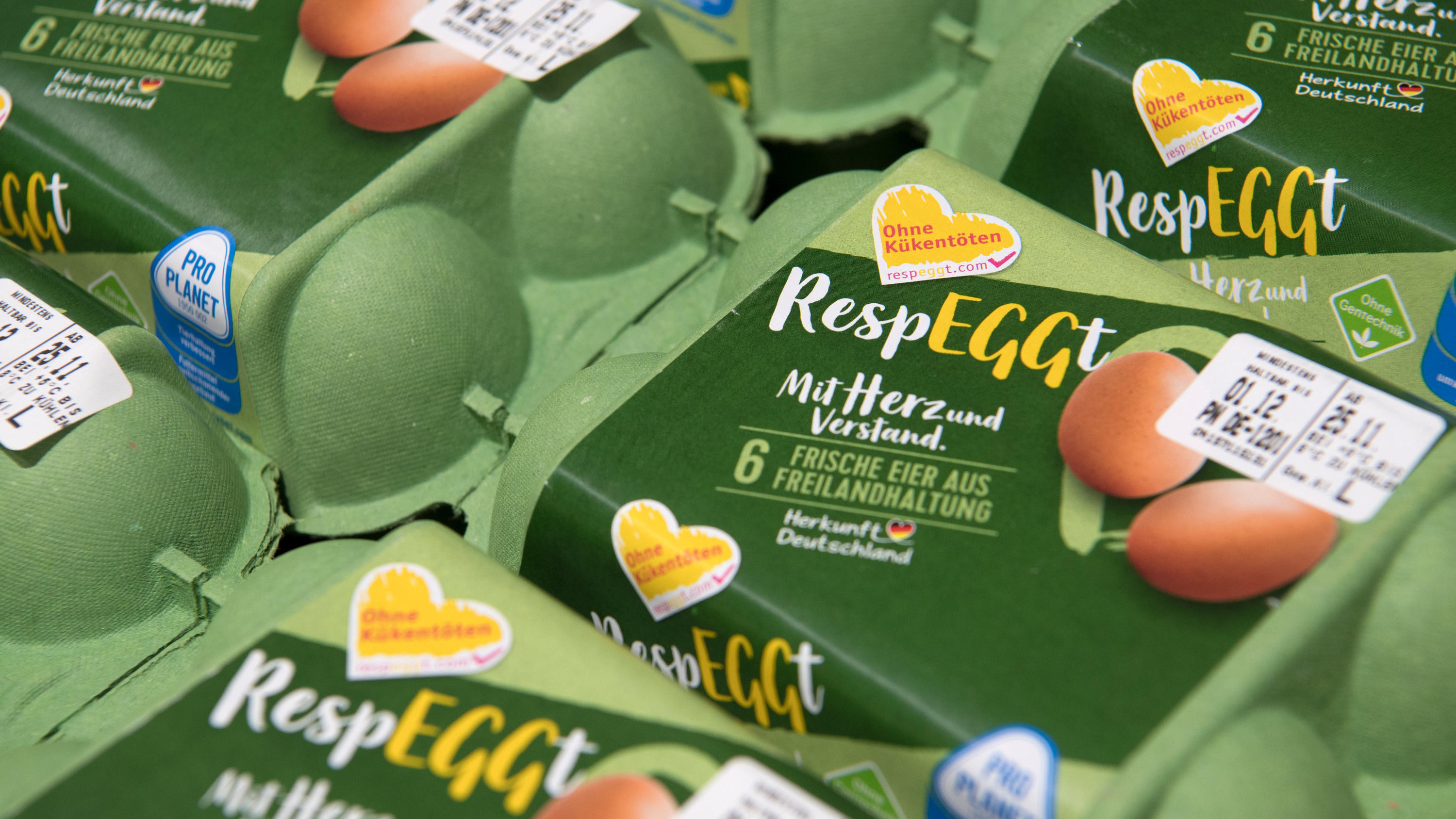 Ab sofort im Handel: Für diese Eier müssen keine Küken sterben Eier aus einer neuen Methode