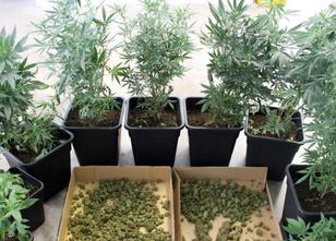 Durch Zufall ist ein mutmaßlicher Dealer der Polizei im Kreis Reutlingen in... weiterlesen