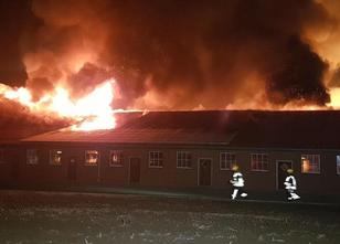 Großbrand bei Schweinezüchter in Nordrhein-Westfalen. Großbrand bei Schweinezüchter