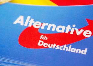 Die AfD schließt heute in Magdeburg ihre viertägige Europawahlversammlung z... weiterlesen