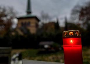 Auf dem Hamburger Friedhof Ohlsdorf sollen künftig Menschen und Haustiere i... weiterlesen