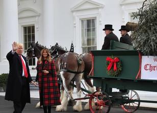 US-Präsident Donald Trump hat am Montag gemeinsam mit seiner Frau Melania d... weiterlesen