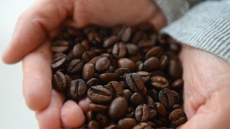 Strafverfahren wegen unversteuertem Kaffee aus Internet Eine Frau hält Kaffeebohnen in ihren Händen
