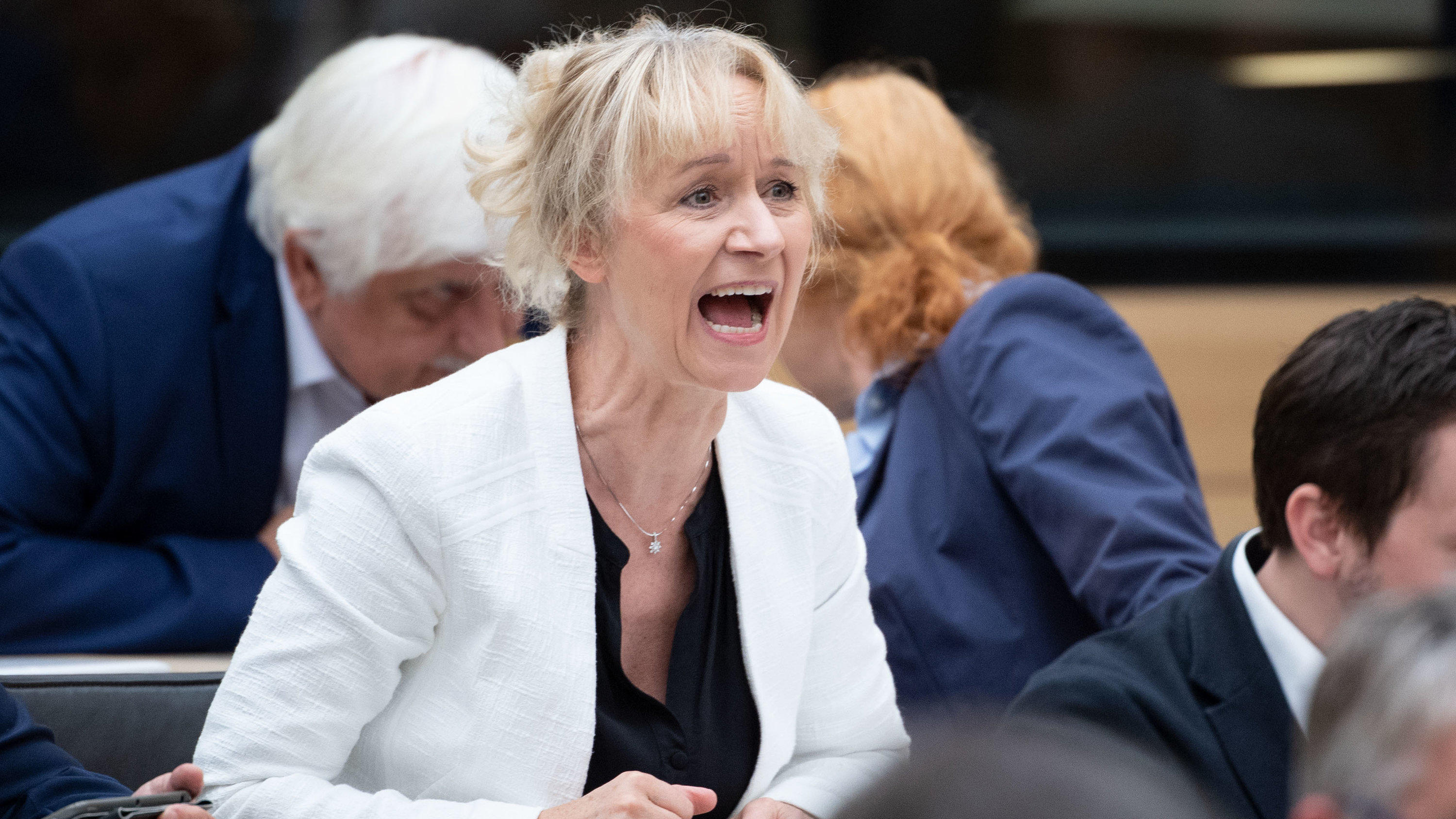 RTL/n-tv-Trendbarometer: Die AfD holt nach Asyl-Streit durch Friedrich Merz wieder auf ARCHIV - 07.11.2018, Baden-Württemberg, Stuttgart: Christina Baum, Abgeordnete der Fraktion der AfD im Landtag von Baden-Württemberg ruft während einer Plenarsitzung im Plenarsaal dazwischen. (zu dpa "AfD-Spitze distanziert sich von Rechtsradikalen i