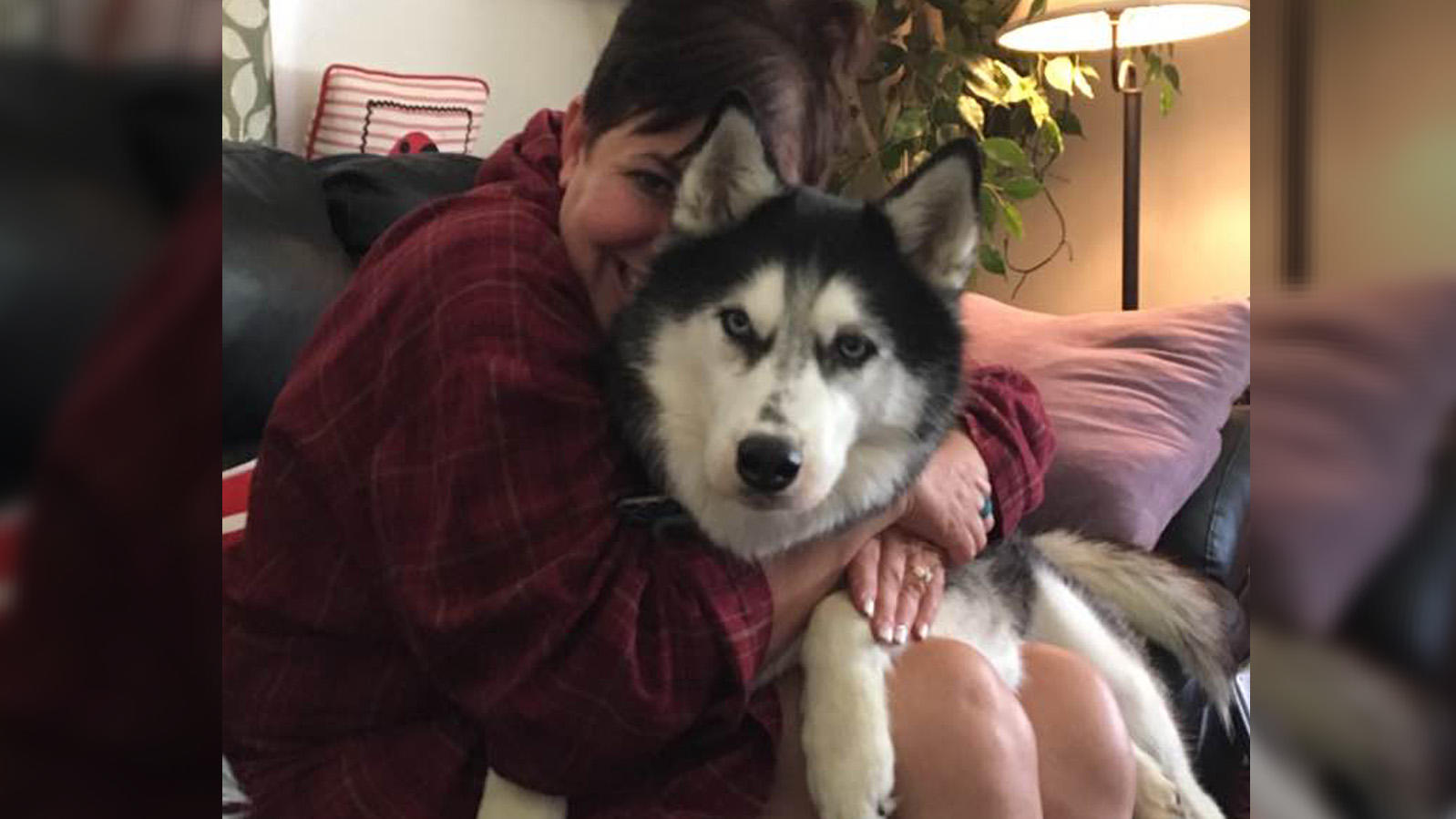 Der Husky mit der Wundernase: Sierra erschnüffelte drei Mal Krebs bei ihrer Besitzerin! Stephanie Herfel und Husky-Dame Sierra kuscheln glücklich