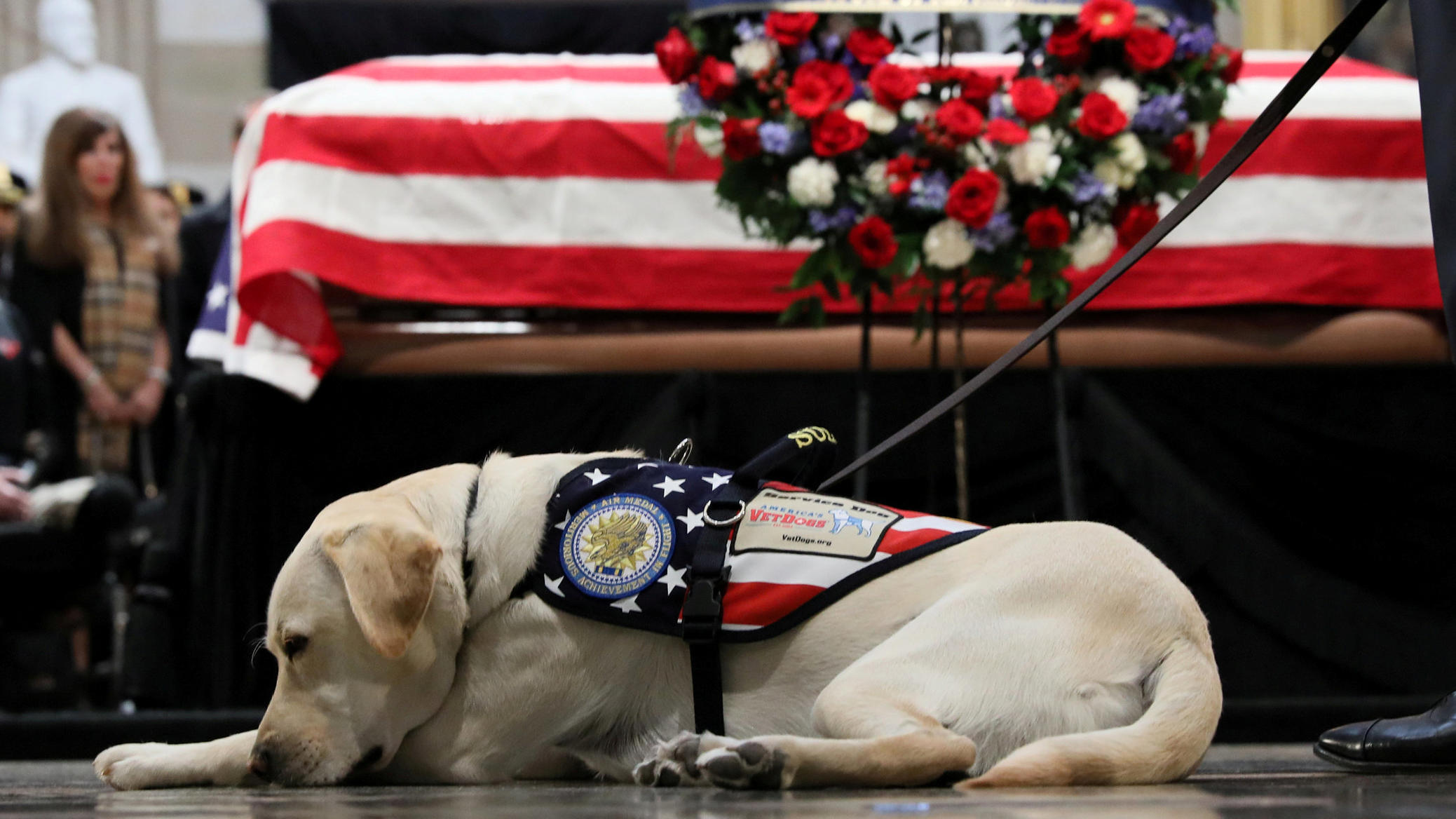 Beerdigung von Ex-Präsident George Bush: Wo war Hund Sully? Sully the service dog of former U.S. President George H.W. Bush lays in front of Bush's casket as it lies in state inside the U.S. Capitol Rotunda on Capitol Hill in Washington, U.S., December 4, 2018. REUTERS/Jonathan Ernst TPX IMAGES OF THE DAY