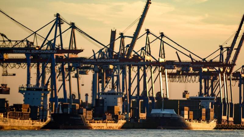 Deutsche Handelsflotte schrumpft weiter Hamburger Hafen