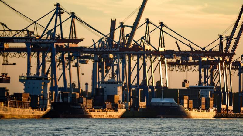 Deutsche Handelsflotte schrumpft weiter: Reeder unter Druck Containerschiffe im Hamburger Hafen