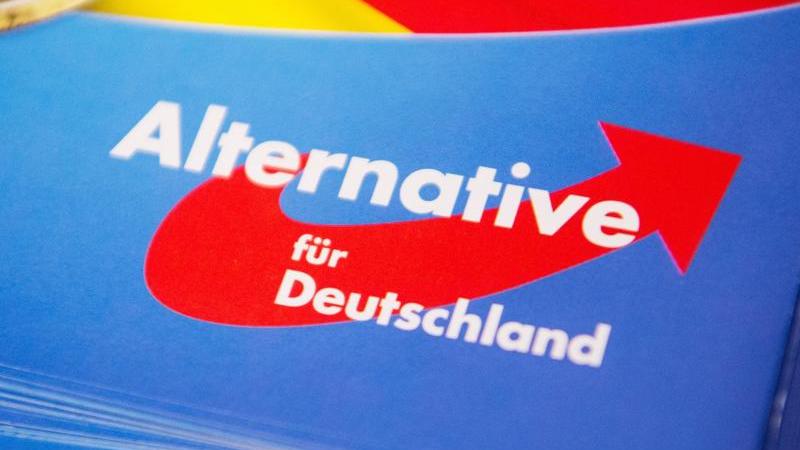 Neuer Verfassungsschutz-Chef will AfD beobachten lassen AfD