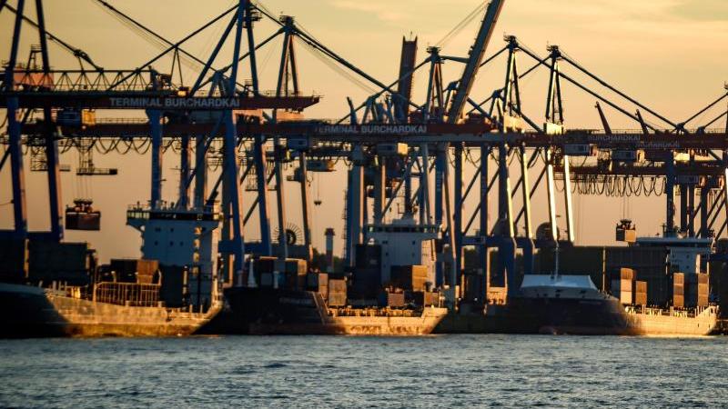 Deutsche Handelsflotte schrumpft weiter Containerschiffe im Hamburger Hafen