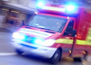 Eine Katze hat in Nordhausen ihre Besitzer nach dem Ausbruch eines Feuers i... weiterlesen