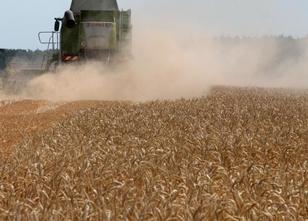 Brandenburgs Landwirte, die durch die Dürre in ihrer Existenz bedroht sind,... weiterlesen