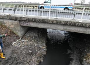 Unter Schutz stehende Otter können nun gefahrlos die Bundesstraße B96 bei G... weiterlesen