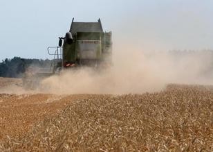 Die deutschen Landwirte haben ein schwieriges Jahr hinter sich - nicht nur ... weiterlesen