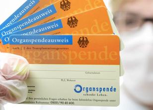 Mit fachgerechter Aufklärung in Krankenhäusern will Rheinland-Pfalz dafür s... weiterlesen
