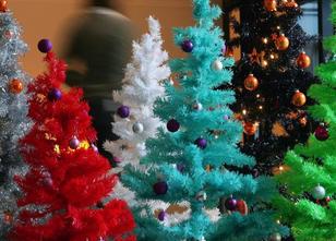 Jedes Jahr vor Weihnachten hält die Natur Einzug in Deutschlands Wohnzimmer... weiterlesen
