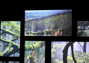 Die erste Ausstellung in einem der drei geplanten Tore des Nationalparks Hu... weiterlesen